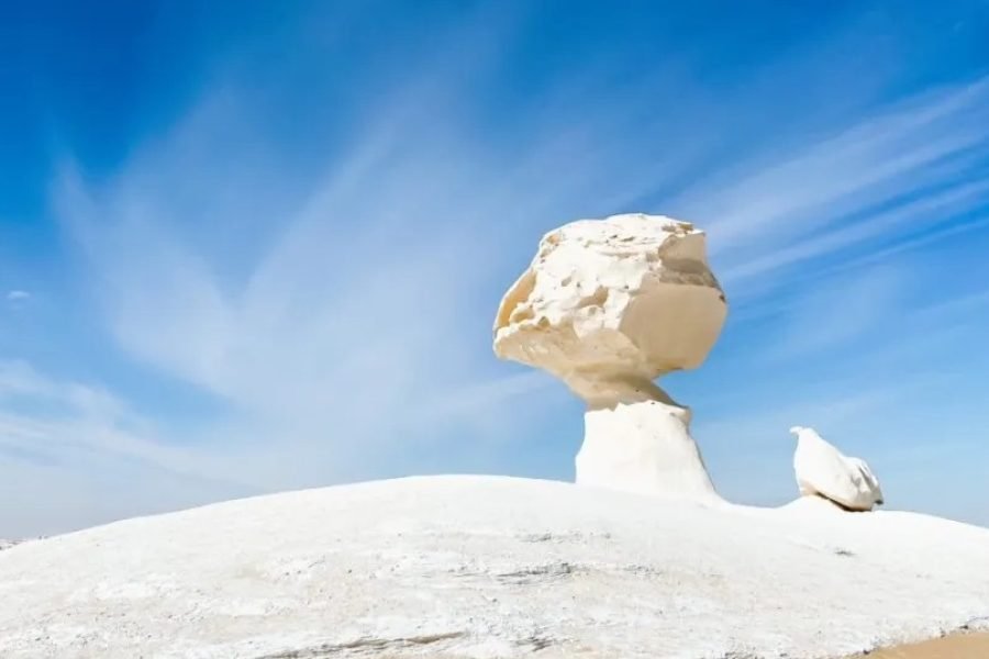 Bahariya Oasis and White Desert tour package