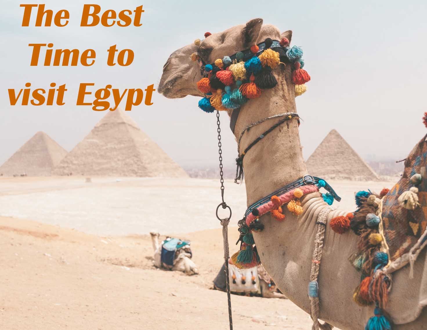 The best time to visit Egypt